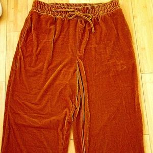 NWT VELVET PANTS